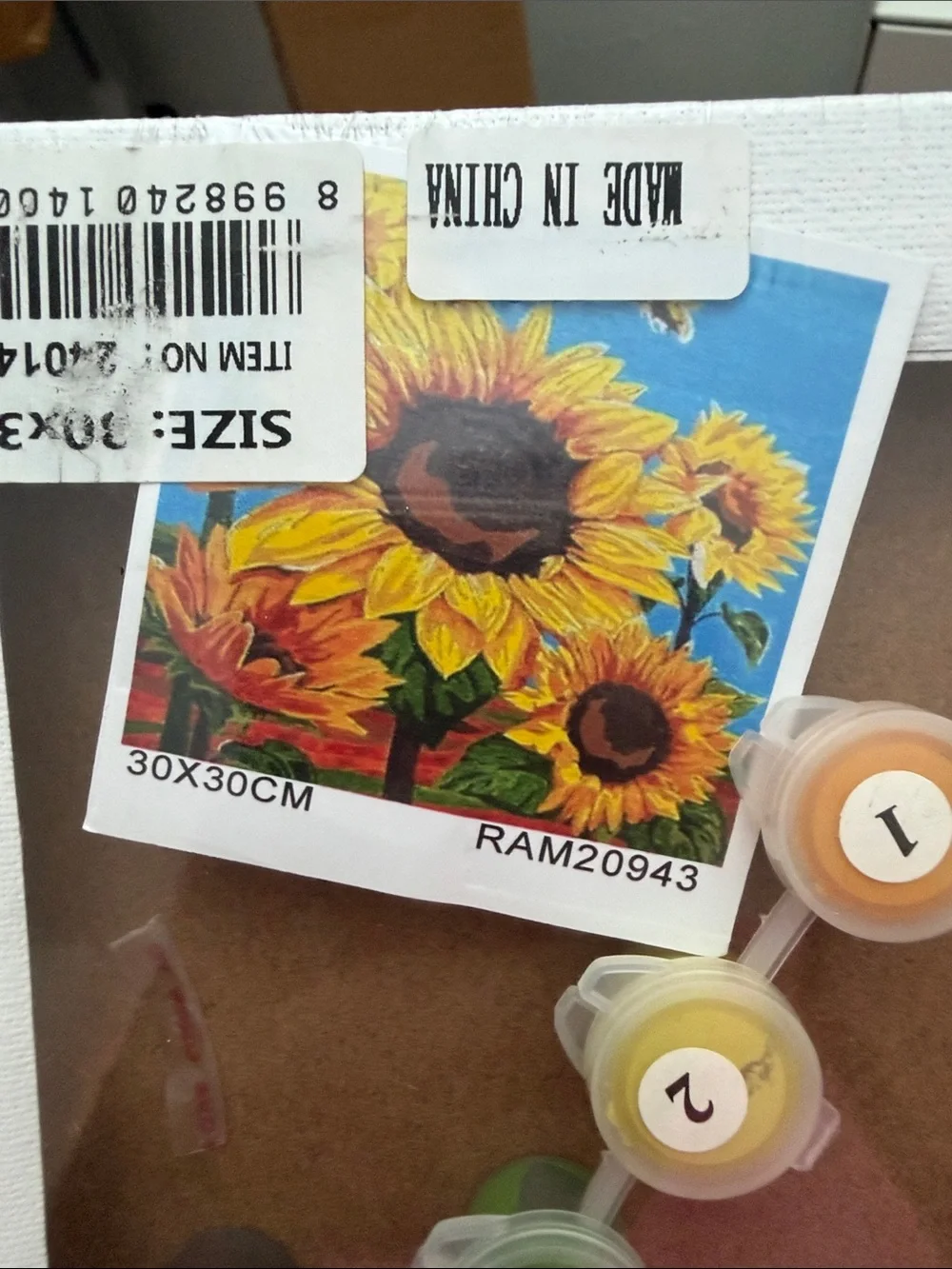 Blank Paint-by-Number Canvas with Sunflower Design - White
